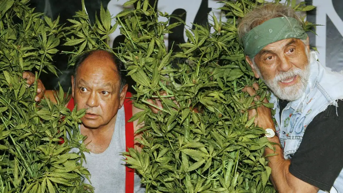Photo of Cheech & Chong reflect on ‘Up in Smoke’ success: ‘The studio had no idea what we were doing’