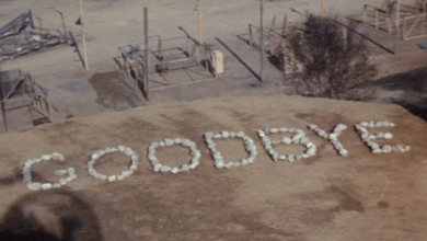 Photo of 8 things you might not know about the M*A*S*H finale