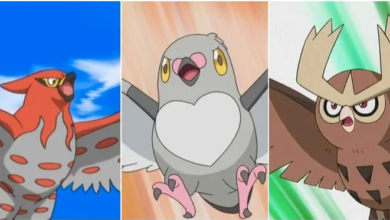 Photo of Pokémon: Every Regional Bird, Ranked