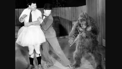 Photo of Is there a primatologist in the house? Laurel and Hardy in “The Chimp” (1932).