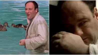 Photo of The Sopranos: 5 Times Tony Had Empathy For Animals (& 5 For Humans)