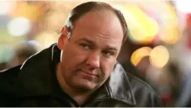 Photo of HBO Paid Sopranos Star James Gandolfini $3 Million Not To Join The Office Cast
