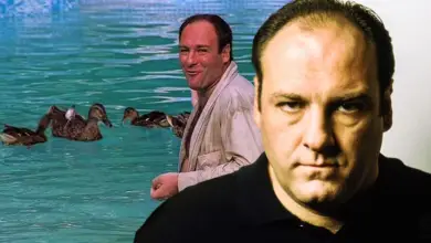 Photo of The Sopranos: All 6 Animal Symbols For Tony (& What They Mean)