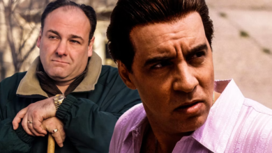 Photo of The Sopranos: What Happened To Silvio Dante, Explained