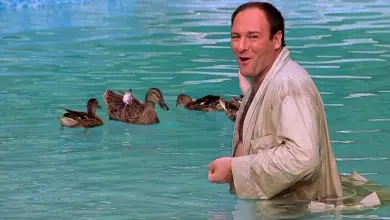 Photo of The Sopranos: Why Tony Is Obsessed With The Ducks