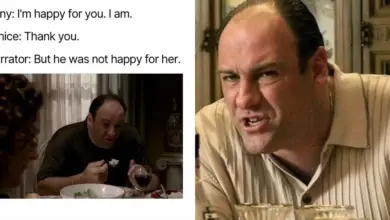 Photo of The Sopranos: 10 Memes That Perfectly Sum Up Tony As A Character